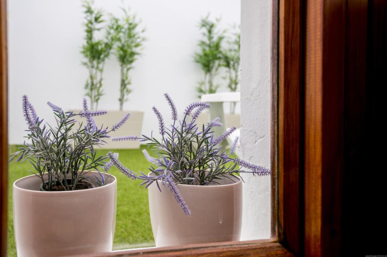 Cactus Apartment Сан Мигель Экстерьер фото